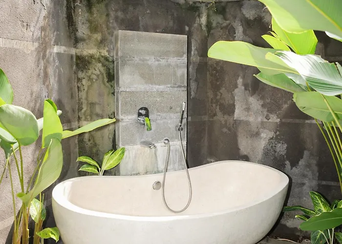 The Mango Villa